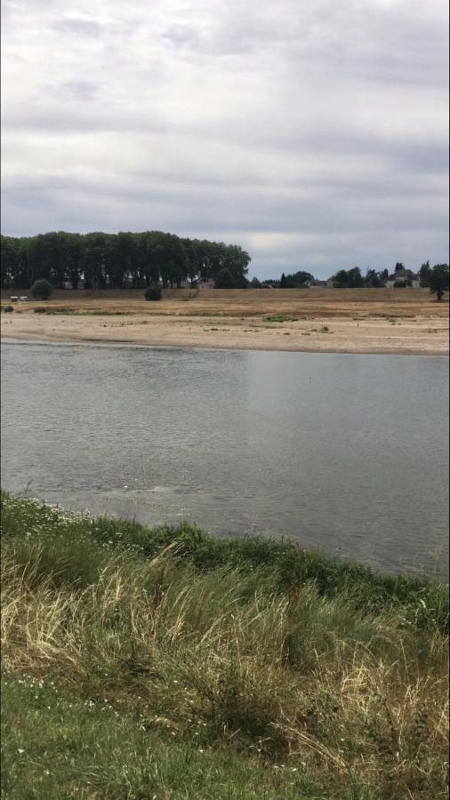 Le Jardin Des Remparts Lejlighed Nevers Eksteriør billede